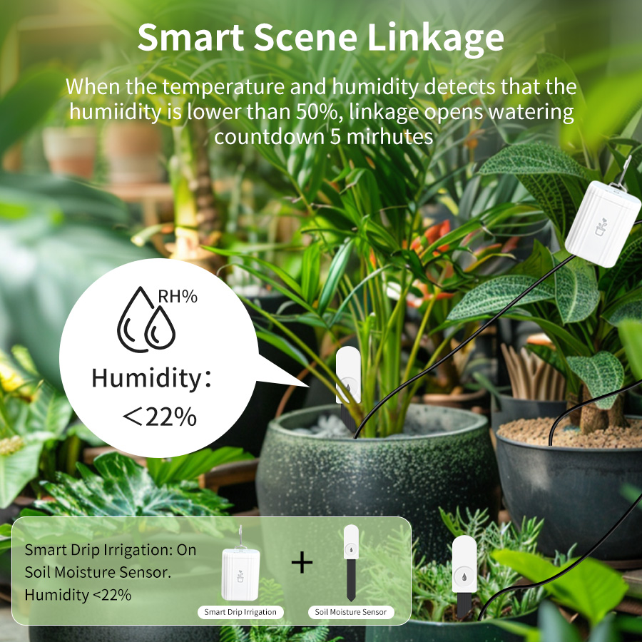 Inteligentny tester gleby Zigb – Smart Home Zigbee 3.0 recenzja i cena