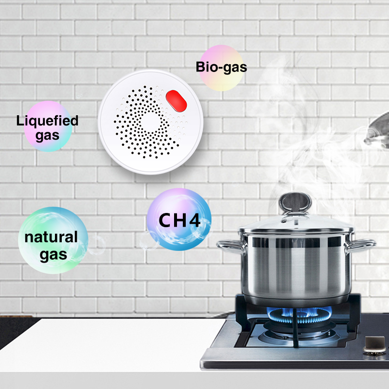 Tuya Smart Home Wifi naturalny – Smart Home Outdoor recenzja i cena